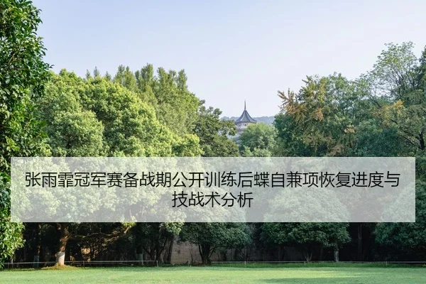 张雨霏冠军赛备战期公开训练后蝶自兼项恢复进度与技战术分析